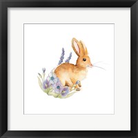 Spring Bunny II Framed Print
