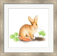Framed Spring Bunny III
