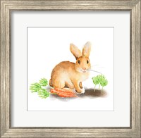 Framed Spring Bunny III