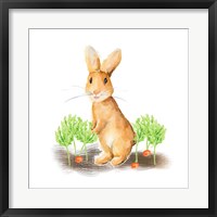 Framed Spring Bunny IV