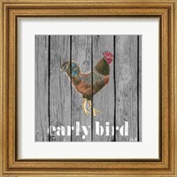 Framed 'Early Bird Rooster' border=