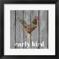 Framed 'Early Bird Rooster' border=