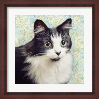 Framed Cat on Paisley