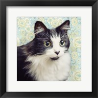 Framed Cat on Paisley