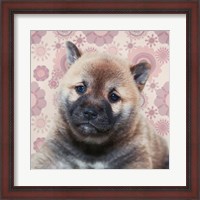 Framed Shiba Inu Portrait