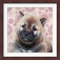 Framed Shiba Inu Portrait