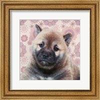 Framed Shiba Inu Portrait