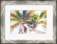 Framed Sideway Watercolor Palms II