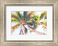 Framed Sideway Watercolor Palms II