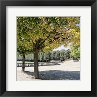 Framed Parisian Stroll III