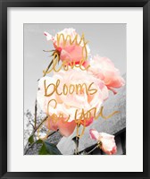 Framed Love Blooms I
