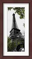 Framed Parisian Trip I