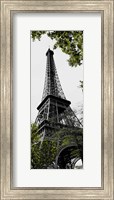 Framed Parisian Trip I