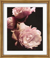 Framed Solitary Bouquet II
