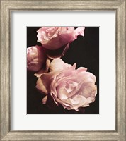 Framed Solitary Bouquet II