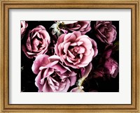 Framed Baroque Roses