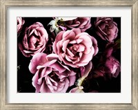 Framed Baroque Roses
