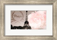Framed Vintage Paris