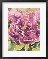 Framed Purple Blossoms