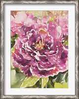 Framed Purple Blossoms