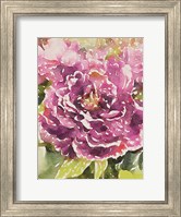 Framed Purple Blossoms