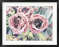 Framed Vintage Roses