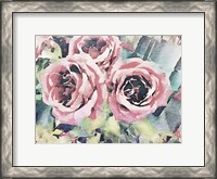 Framed Vintage Roses
