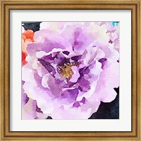 Framed Purple Flower