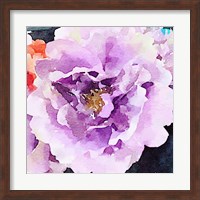 Framed Purple Flower