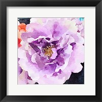 Framed Purple Flower