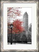 Framed Central Park with Red Tree