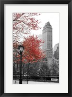 Framed Central Park with Red Tree