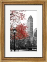 Framed Central Park with Red Tree