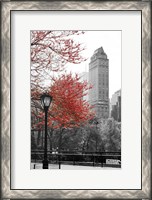 Framed Central Park with Red Tree