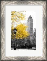 Framed Central Park with Yellow Tree