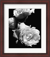 Framed Dramatic Love Blooms II