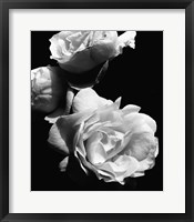 Framed Dramatic Love Blooms II