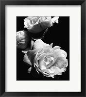 Framed Dramatic Love Blooms II