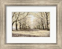 Framed Winter Cathedral
