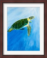 Framed Green Turtle