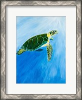 Framed Green Turtle