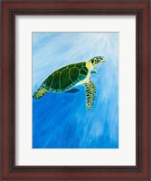 Framed Green Turtle
