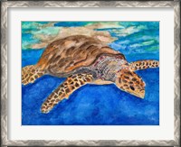 Framed Turtle at Sea