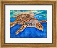 Framed Turtle at Sea