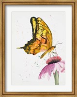 Framed Butterfly Nectar