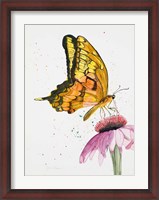 Framed Butterfly Nectar