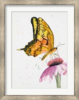 Framed Butterfly Nectar