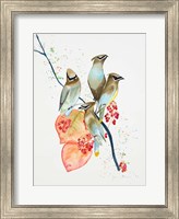 Framed Birds on Branch