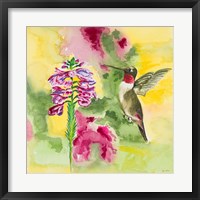 Framed Watercolor Hummingbird