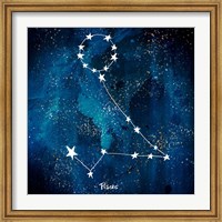 Framed Pisces